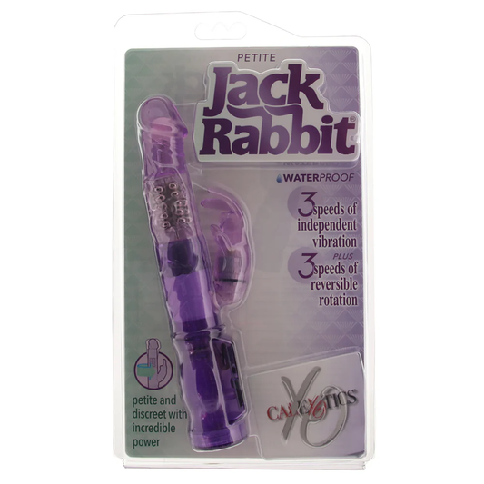 Petite Jack Rabbit Starter Vibe in Purple